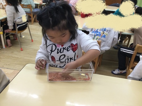 かなりやかつお節 (2).jpg