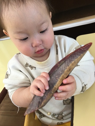 すみれかつお節.jpg