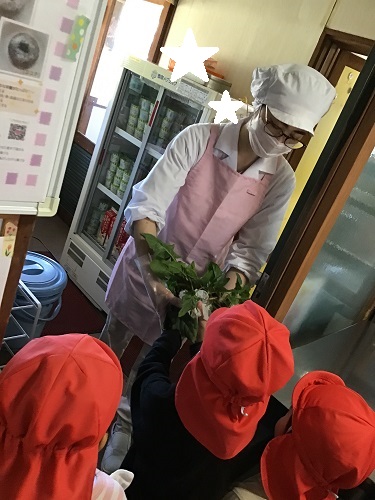 かなりや　ほうれん草⑤.jpg