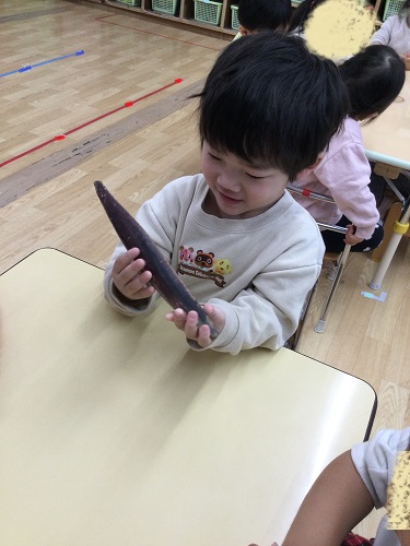 ももかつお節.jpg