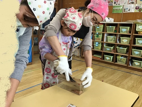 はとかつお節.jpg