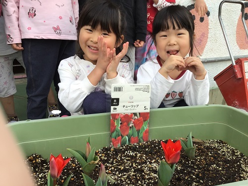 かなりや組 (5).jpg