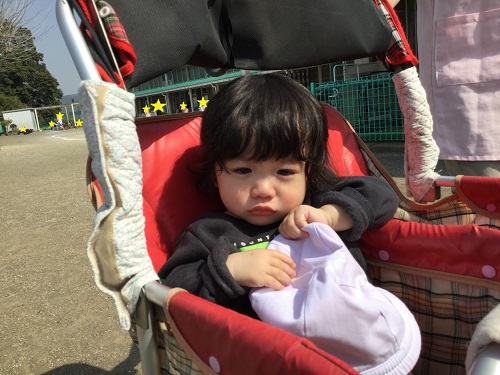 すみれ②.jpg