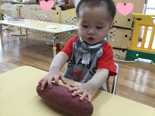 たんぽぽ④.jpg