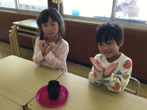 はと (5).jpg