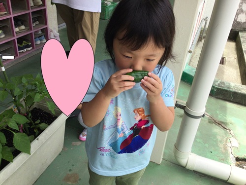 かなりや２.jpg