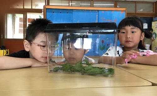 はと (1).jpg