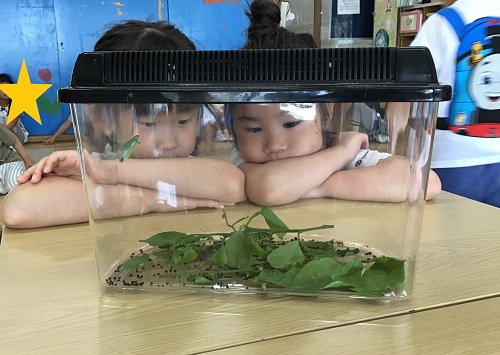 はと (3).jpg