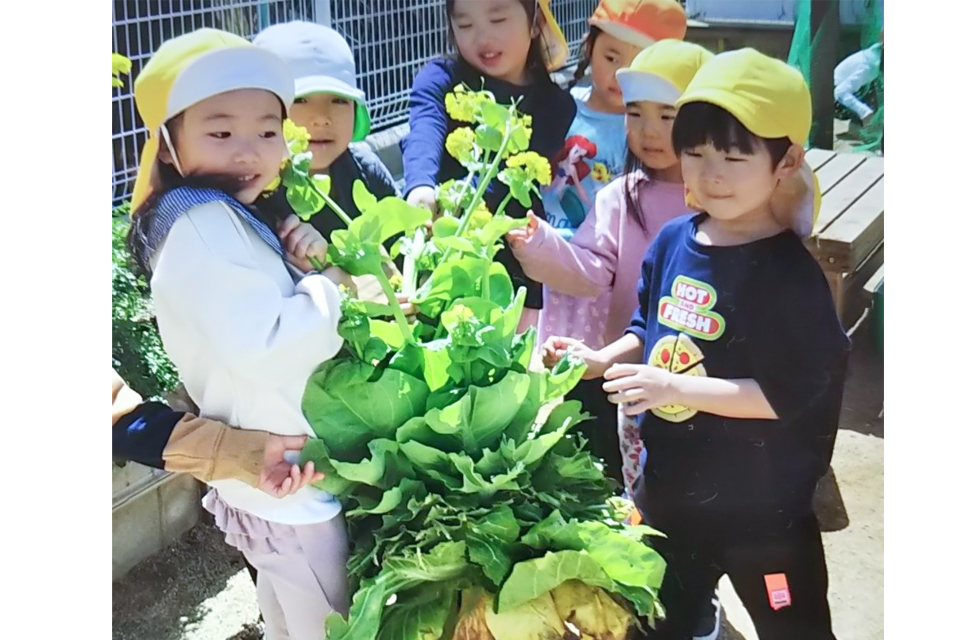 クッキング保育