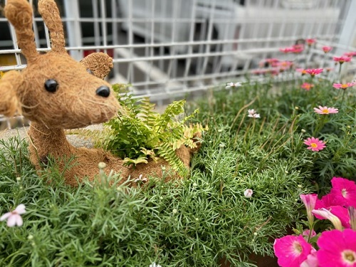 お花.jpeg