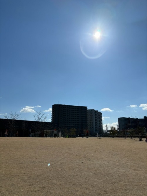 image1.jpeg