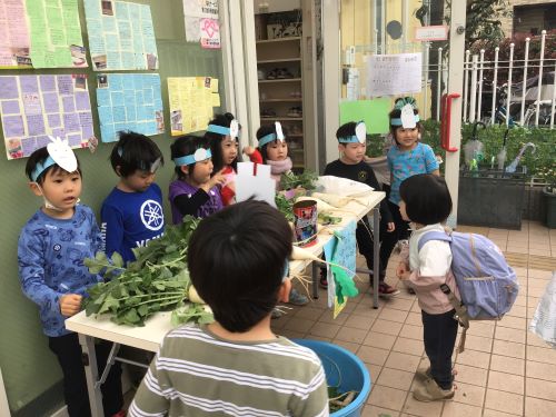 だいこん屋さん.JPG