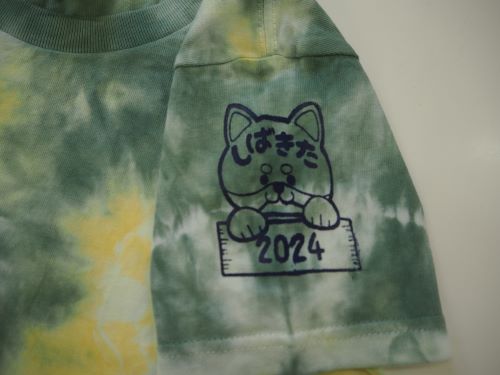 Tシャツ写真2.JPG