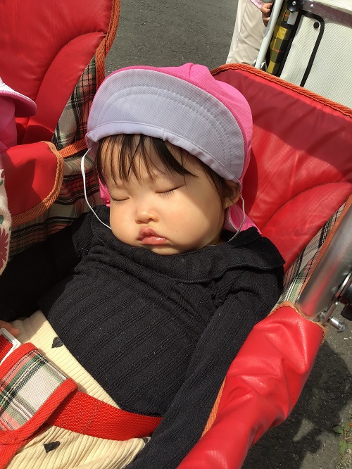 みのり 散歩.jpg