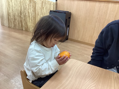 みかん１０.jpg