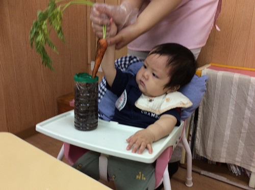 にんじん２.jpg