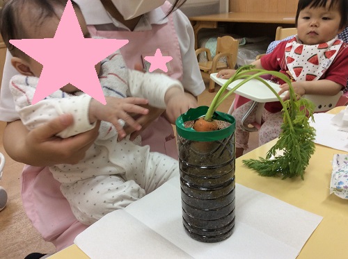 にんじん３.jpg