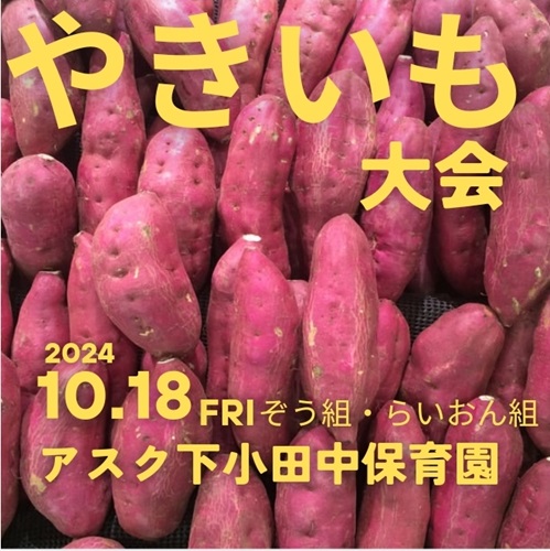 Screenshot_20241030_150049_Canva.jpg