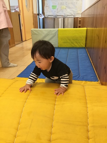 ひよこ (1).jpg
