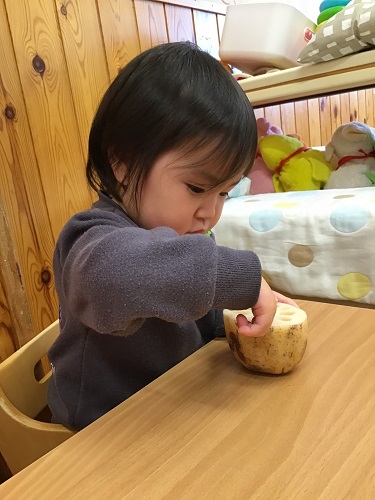ひよこ (2).jpg