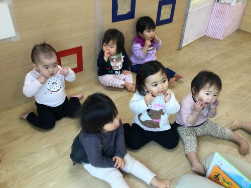 こすもす5.jpg