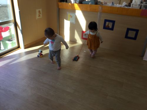 こすもす2.jpg