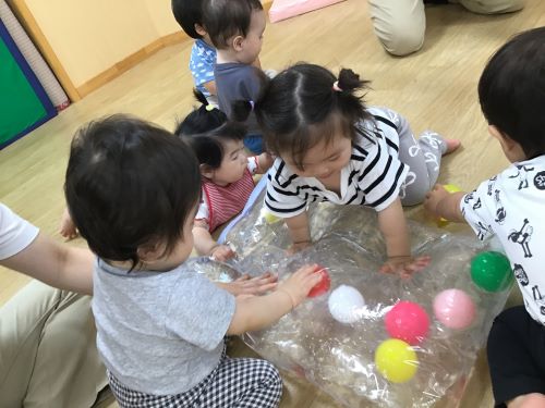 こすもす１.jpg