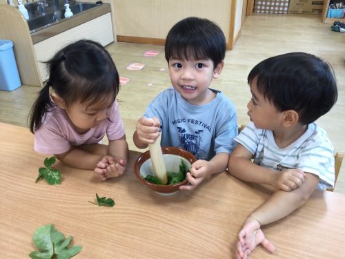 たんぽぽ（色水遊び）.JPG