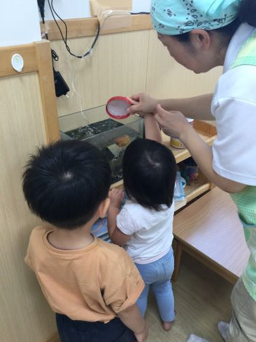 たんぽぽ（お当番②）.JPG