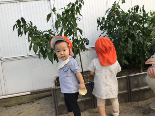 こす１.jpg