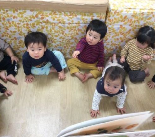 こすもす５.JPG