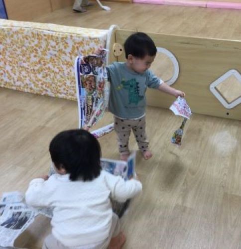 こすもす１.JPG