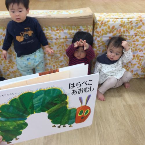 こすもす６.JPG