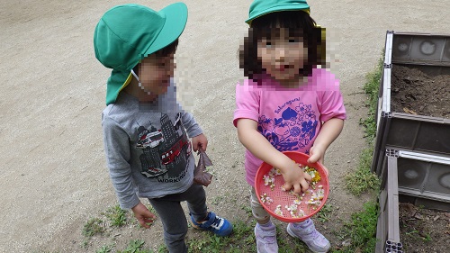 RIMG6938.JPG