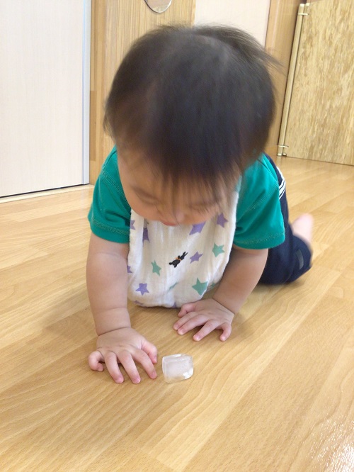 恐る恐る指でちょん.JPG