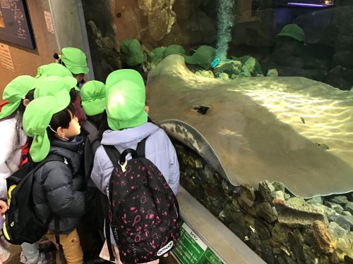卒園遠足②.jpg