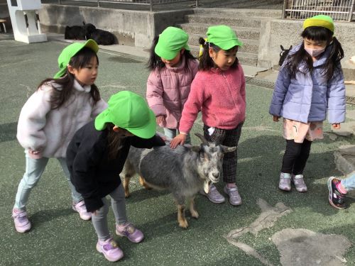 卒園遠足④.jpg