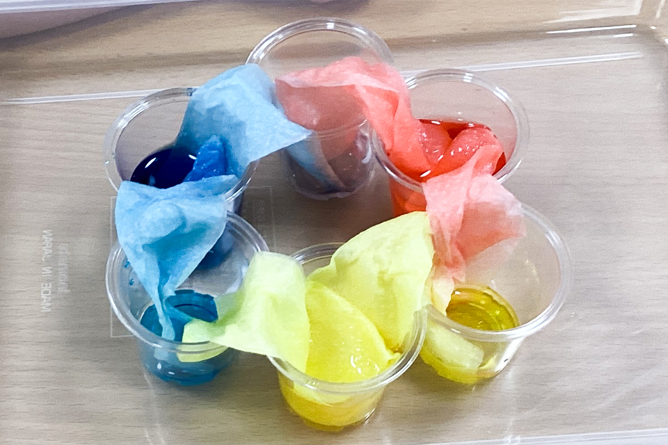 サイエンス