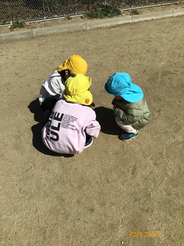 2024_37479.jpg