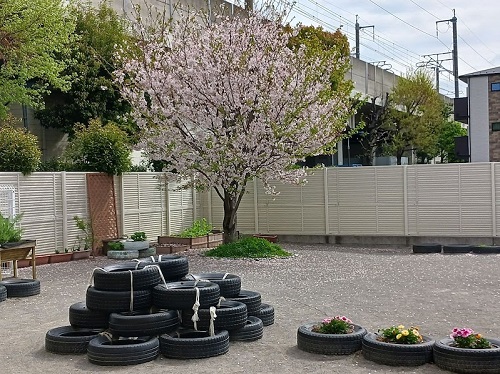 桜.jpg