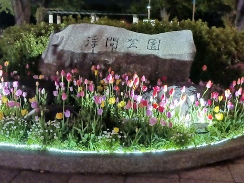 うきま２.jpg