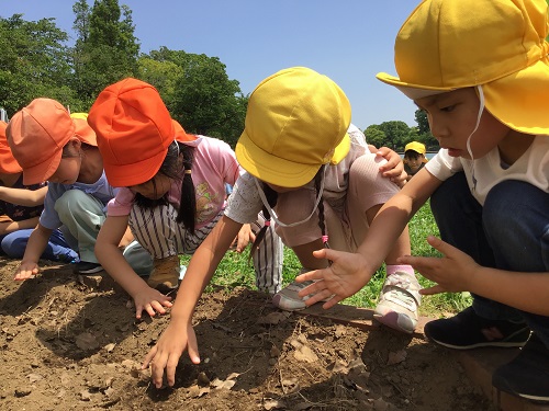 浮間公園　苗付け.jpg