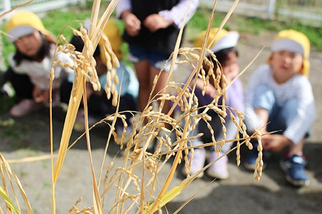 生活発表会