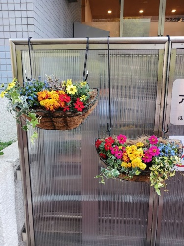 4月花.jpg