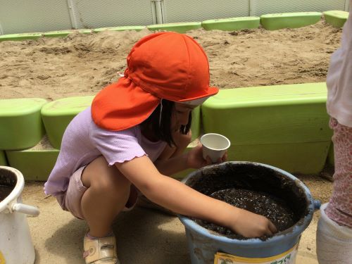 種植え.jpg