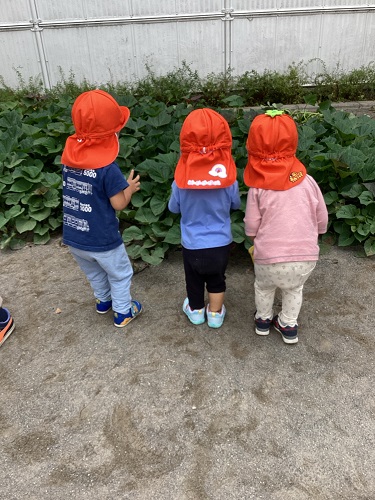 2歳虫探し３.jpg