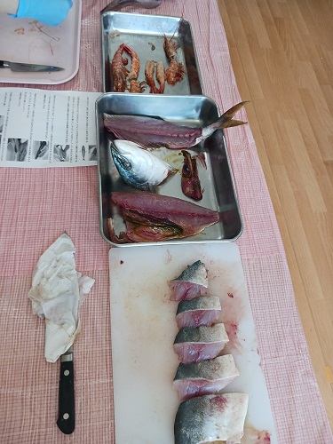解体ショー４.jpg