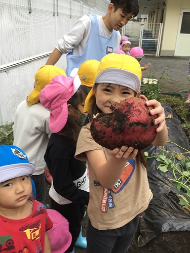５歳　いもほり４.jpg