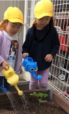 2024_6月ぞう②.jpg