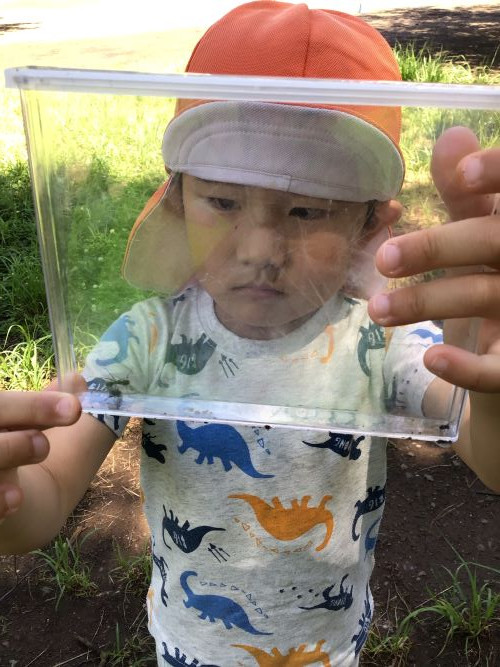 5月にじ②.JPG